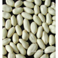 Peanut Kernels LUHUA Type blanched peanuts kernels LUHUA Manufactory